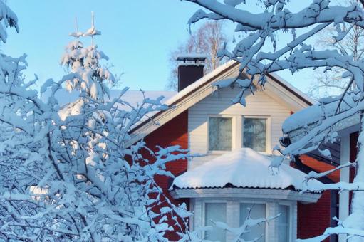 北欧 雪化粧した木々と住宅 雪,大雪,家の写真素材