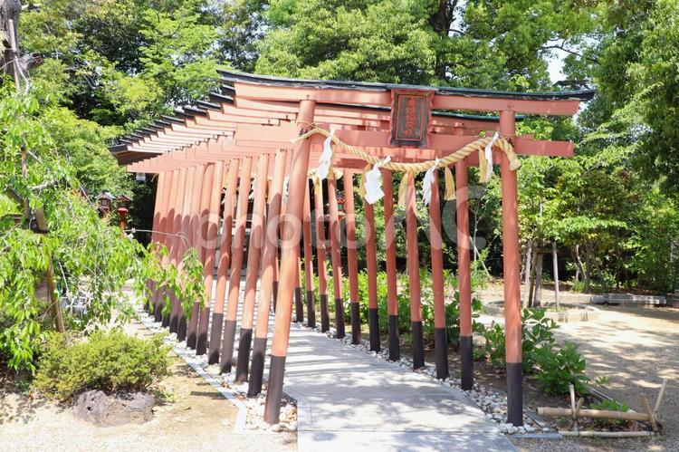 辛國神社　春日稲荷社 辛國神社,春日稲荷社,辛国神社の写真素材