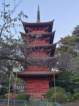 千葉県-法華経寺-五重塔 法華経寺,寺,正中山の写真素材