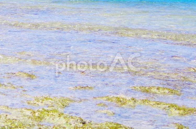 沖縄・背景 沖縄,おきなわ,okinawaの写真素材