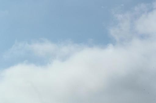 夏空2 夏空2の写真