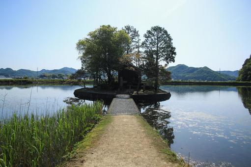 Photo, shuhin shrine, a shrine, trees, 