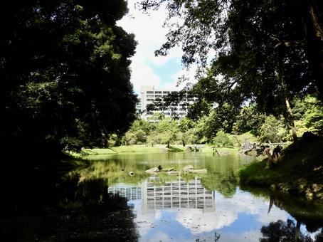 特別名勝小石川後楽園2 小石川後楽園,後楽園,庭園の写真素材