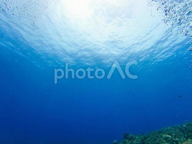 海の中の景色 ダイビング,海中,沖縄の写真素材