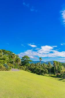 鹿児島　開聞山麓自然公園（トカラ馬牧場） 開聞山麓自然公園,トカラ馬牧場,開聞岳の写真素材