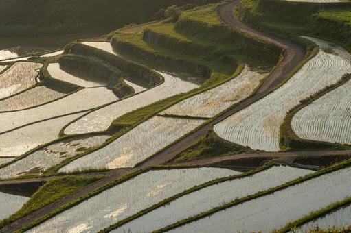 佐賀-【土谷棚田の夕景】 佐賀-【土谷棚田の夕景】 佐賀県,佐賀,松浦市の写真素材