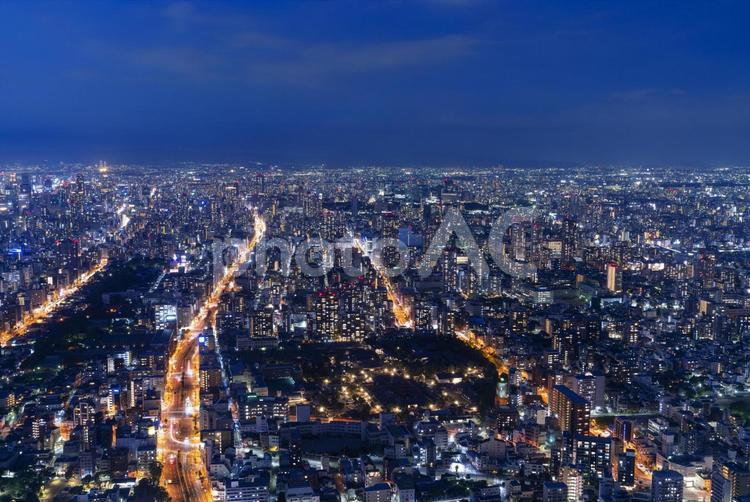 [大阪府]あべのハルカスからの大阪市街の夜景 大阪府,大阪市,大阪の写真素材