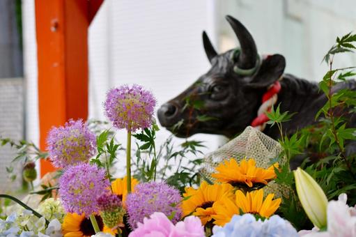 花手水と撫で牛 花手水と撫で牛の写真