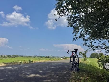 夏のサイクリング(木陰で休憩) 夏のサイクリング(木陰で休憩) サイクリング,ポタリング,自転車の写真素材