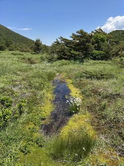沼地ハイキング 沼地ハイキングの写真