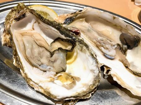 生ガキ 生牡蠣,海鮮,瀬戸内料理の写真素材