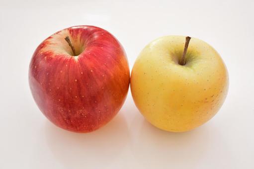 赤と黄のりんご２種 りんご,果物,フルーツの写真素材
