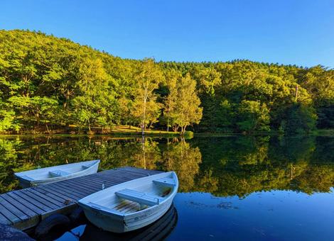 富良野 風景 富良野 風景 北海道富良野市東鳥沼1,鳥沼公園,木漏れ日の写真素材