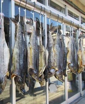 Photo, salmon, village listed, niigata prefecture, 