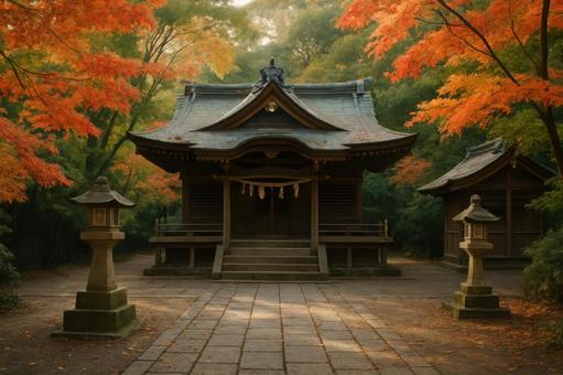 紅葉が始まる神社の境内 紅葉が始まる神社の境内の写真