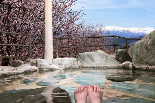 A spectacular open-air bath that you can enter while looking at the cherry blossoms, JPG A spectacular open-air bath that you can enter while looking at the cherry blossoms, hot spring, outdoor bath, bath, JPG