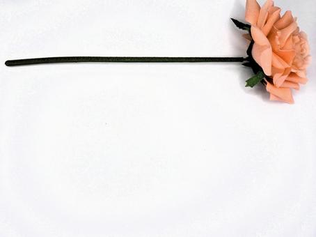 バラ バラ バラ,花,ピンクの写真素材