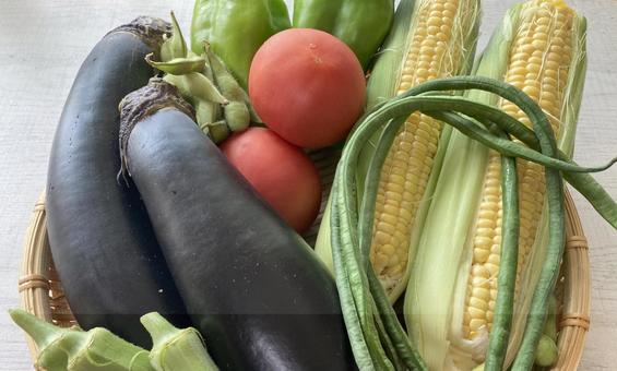 夏野菜のかご盛り合わせ 夏野菜のかご盛り合わせ 夏野菜,盛り合わせ,かご盛りの写真素材