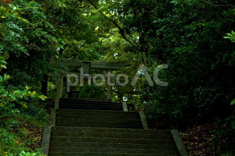 神秘的な田舎の神社 神社,鳥居,苔の写真素材
