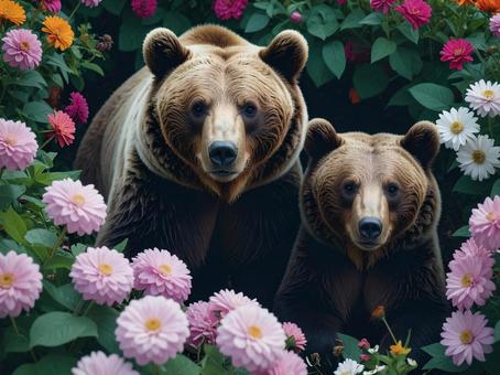 ヒグマ ヒグマの写真