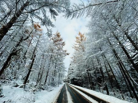 北海道の峠道 峠,北海道,冬道の写真素材