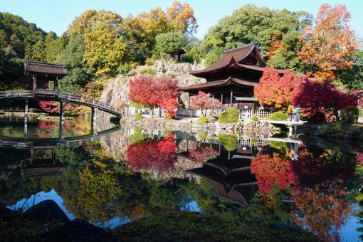 静かな晩秋の朝 秋,もみじ,紅葉の写真素材