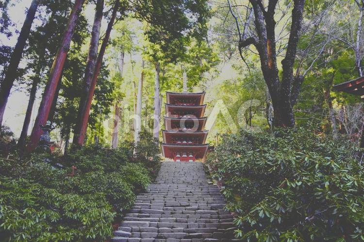 室生寺　五重塔 室生寺,女人高野,五重塔の写真素材