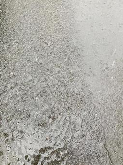 雨 雨の写真