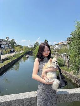 太ったチワワを抱く美少女の写真