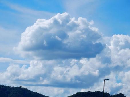 【空の写真】夏空 【空の写真】夏空の写真
