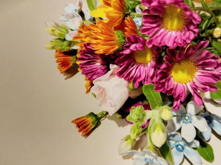 ボタニカルflower背景 花背景,背景,ボタニカルの写真素材