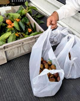 秋の味覚を積んだ軽トラ荷台の写真