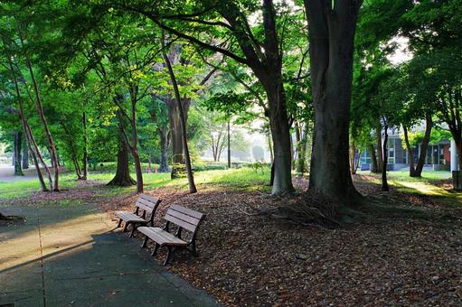 夏の公園にて 夏の公園にての写真