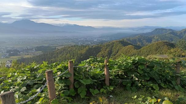 朝高台から下の街を見下ろした風景 朝高台から下の街を見下ろした風景 街,見下ろす,風景の写真素材