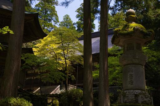 【福井】永平寺と深緑#2 【福井】永平寺と深緑#2 永平寺,日本,福井の写真素材