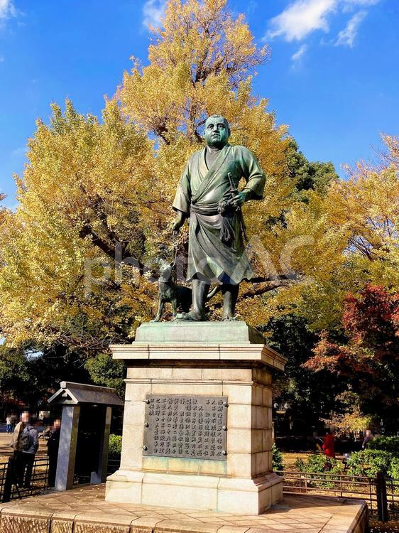 東京風景・上野公園 上野公園,西郷隆盛像,上野恩賜公園の写真素材
