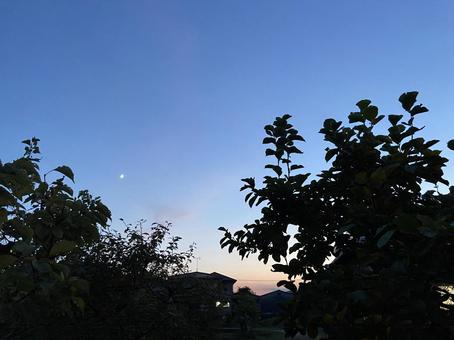 秋めく夕闇 秋めく夕闇の写真