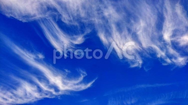 爽やかな風の空 空,晴れ,風の写真素材
