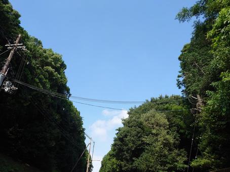 空 樹木,空,晴れの写真素材