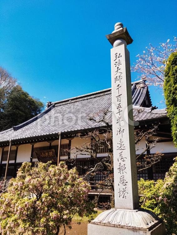 報恩塔 金乗院,記念碑,報恩塔の写真素材