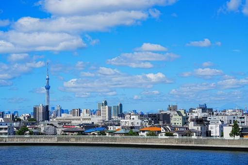 真夏の空の下のスカイツリー 真夏の空の下のスカイツリーの写真