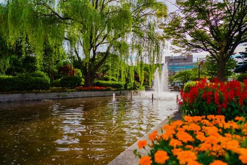 【青森】青い森公園 2025 【青森】青い森公園 2025 青森,2025,aomoriの写真素材