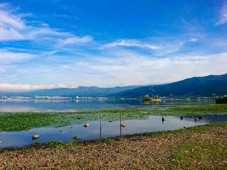諏訪湖の湖畔 諏訪湖の湖畔の写真