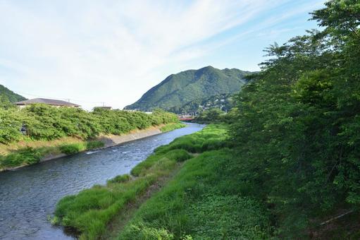 河津の夏 河津の夏の写真