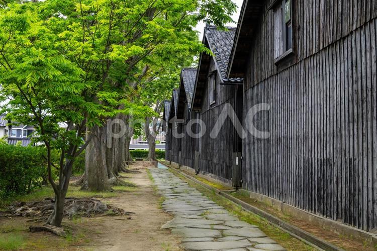 山居倉庫の風景⑾ 山居倉庫,山形県,酒田市の写真素材