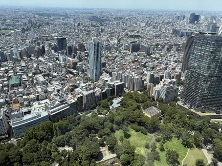 展望台 展望台の写真