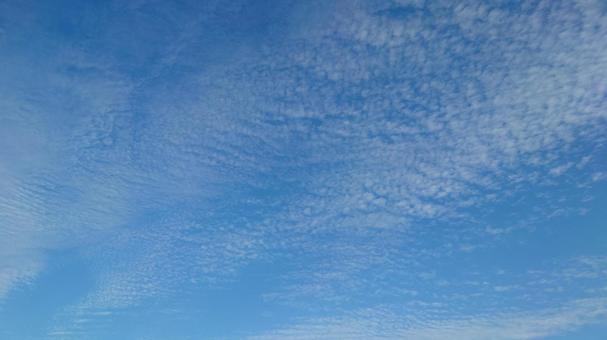 青空 青空の写真