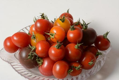 ミニトマト ミニトマト,プチトマト,野菜の写真素材
