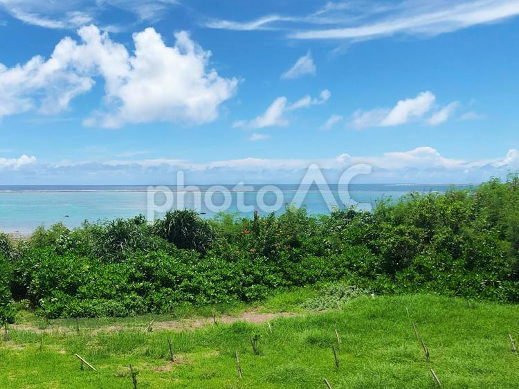南国の癒し 沖縄,石垣,石垣島の写真素材