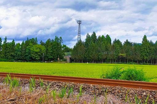 2025年8月の里山14 2025年8月の里山14 単線,線路,鉄道の写真素材